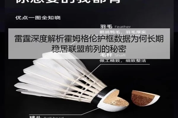 雷霆深度解析霍姆格伦护框数据为何长期稳居联盟前列的秘密